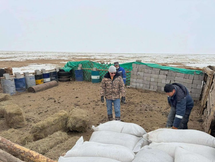 УЛС, АЙМГИЙН ОНЦГОЙ КОМИССЫН ТУСЛАМЖ, ДЭМЖЛЭГИЙГ АЙМГИЙН ЗАСАГ ДАРГА О.БАТЖАРГАЛ, АЙРАГ СУМЫН ЗАСАГ ДАРГА С.ЖАРГАЛСАЙХАНААР АХЛУУЛСАН АЖЛЫН ХЭСГҮҮД 2024 ОНЫ 02 ДУГААР САРЫН 24-25-НЫ ӨДРҮҮДЭД 4 БАГИЙН  НИЙТ 77 ӨРХӨД ДЭМЖЛЭГ ҮЗҮҮЛЛЭЭ.