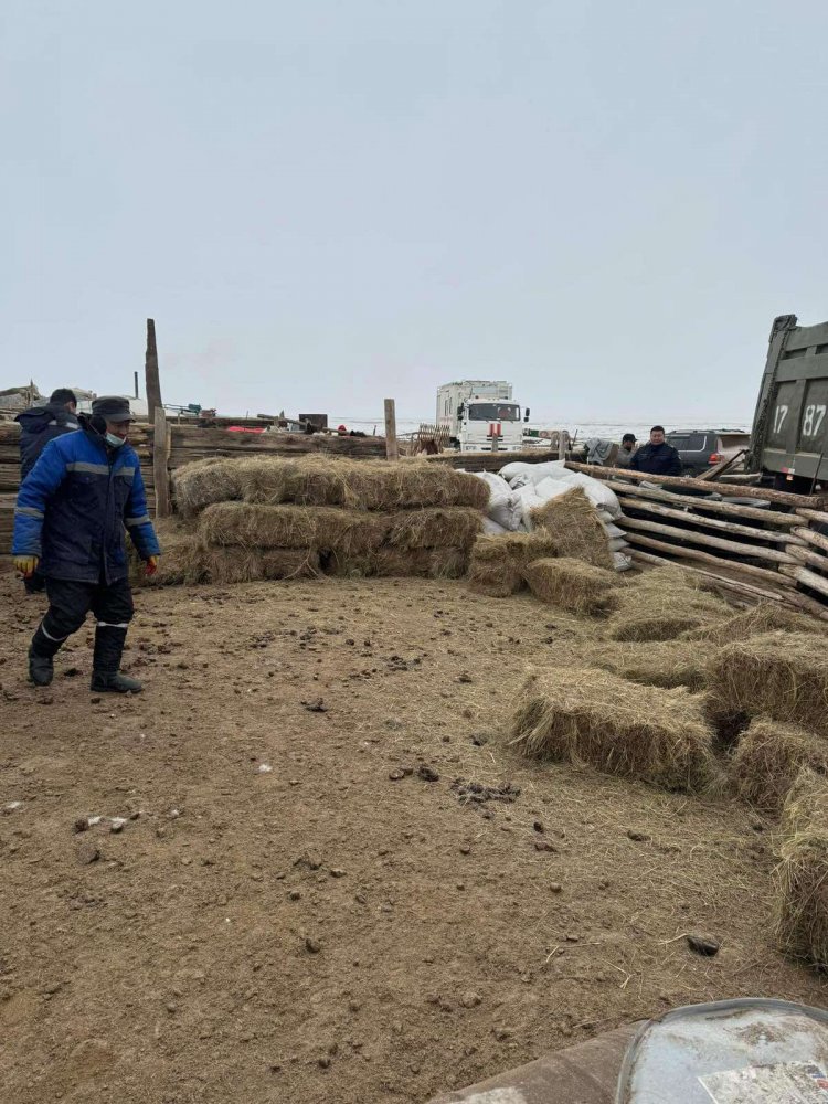 УЛС, АЙМГИЙН ОНЦГОЙ КОМИССЫН ТУСЛАМЖ, ДЭМЖЛЭГИЙГ АЙМГИЙН ЗАСАГ ДАРГА О.БАТЖАРГАЛ, АЙРАГ СУМЫН ЗАСАГ ДАРГА С.ЖАРГАЛСАЙХАНААР АХЛУУЛСАН АЖЛЫН ХЭСГҮҮД 2024 ОНЫ 02 ДУГААР САРЫН 24-25-НЫ ӨДРҮҮДЭД 4 БАГИЙН  НИЙТ 77 ӨРХӨД ДЭМЖЛЭГ ҮЗҮҮЛЛЭЭ.