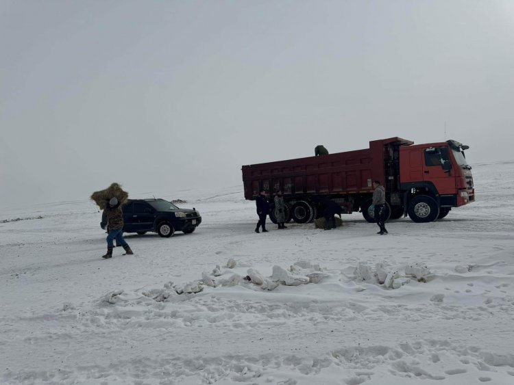 УЛС, АЙМГИЙН ОНЦГОЙ КОМИССЫН ТУСЛАМЖ, ДЭМЖЛЭГИЙГ АЙМГИЙН ЗАСАГ ДАРГА О.БАТЖАРГАЛ, АЙРАГ СУМЫН ЗАСАГ ДАРГА С.ЖАРГАЛСАЙХАНААР АХЛУУЛСАН АЖЛЫН ХЭСГҮҮД 2024 ОНЫ 02 ДУГААР САРЫН 24-25-НЫ ӨДРҮҮДЭД 4 БАГИЙН  НИЙТ 77 ӨРХӨД ДЭМЖЛЭГ ҮЗҮҮЛЛЭЭ.