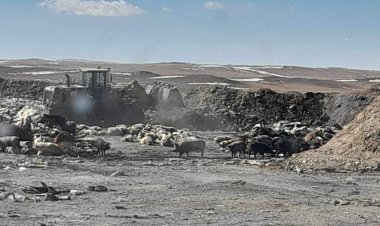 СУМЫН НЭГДСЭН ТӨВЛӨРСӨН ХОГИЙН ЦЭГИЙГ ТҮРЖ ЦЭВЭРЛЭВ.