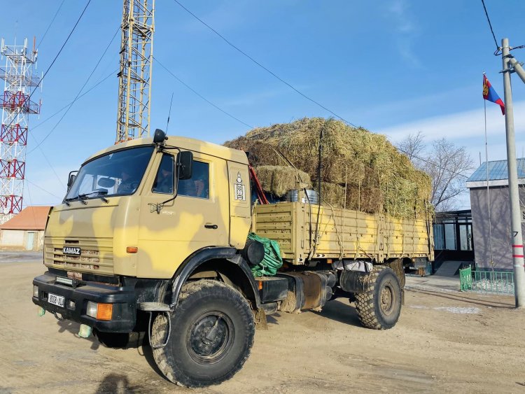 САЙН-УС БАГЫН АЛСЛАГДСАН ХҮНДРЭЛТЭЙ БАЙГАА МАЛЧИН ӨРХ РҮҮ ТОЙРОЛТООР ГАРЛАА.