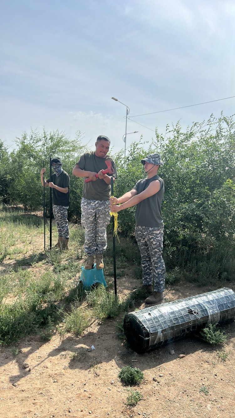 НОГООН БАЙГУУЛАМЖАА ХАШААЖУУЛАХ АЖИЛ ҮРГЭЛЖИЛСЭЭР