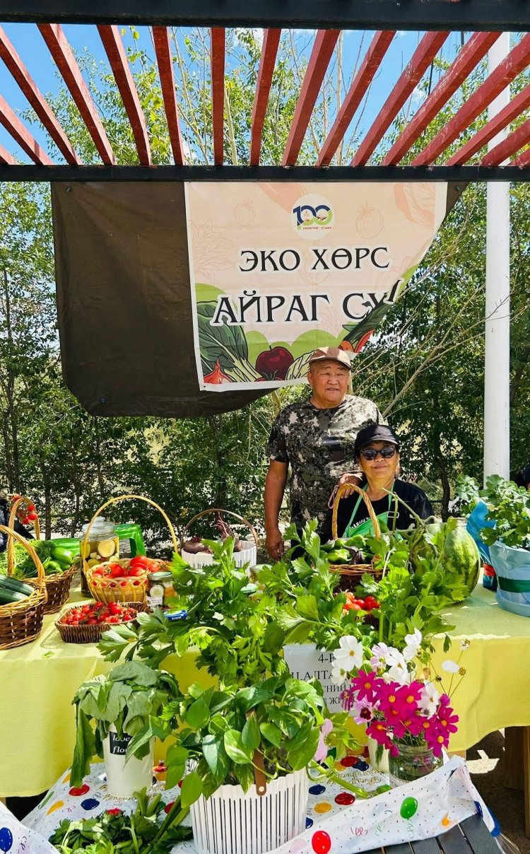 ШИНЭ АЙРАГ ХӨГЖИЛ-2025 ҮЗЭСГЭЛЭН ХУДАЛДАА ЗОХИОН БАЙГУУЛАГДАЖ БАЙНА.