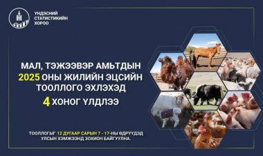 МАЛ, ТЭЖЭЭВЭР АМЬТДЫН 2025 ОНЫ ЖИЛИЙН ЭЦСИЙН ТООЛЛОГО ЭХЛЭХЭД 4 ХОНОГ ҮЛДЛЭЭ.