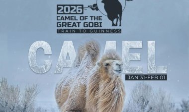 "Их Говийн Тэмээ 2026" өвлийн эвент Дорноговь аймагт 2026 оны 01 дүгээр 31, 02 дугаар сарын 01-ны өдрүүдэд Дорноговь аймагт зохион байгуулагдана. Дорнын шаргал говьд уулзацгаая.