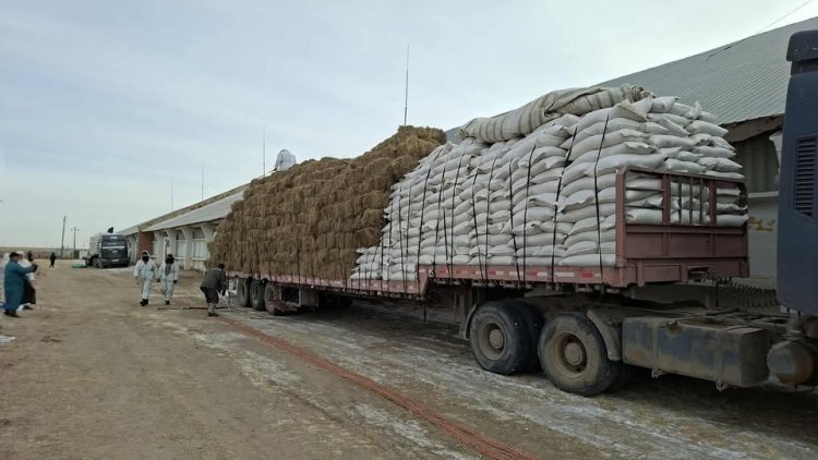ТАЛАРХАЛ