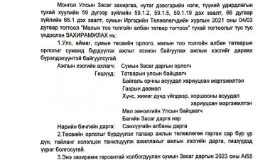 Төсвийн орлого төвлөрүүлэх ажлын хэсэг байгуулах тухай А/49