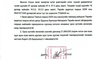 Орон нутгийн хөгжлийн санд орлого төвлөрүүлэх тухай А/13