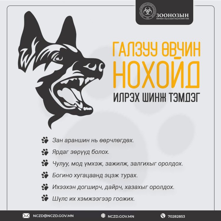 ГАЛЗУУ ӨВЧНӨӨС СЭРГИЙЛЭХ ЗӨВЛӨМЖ