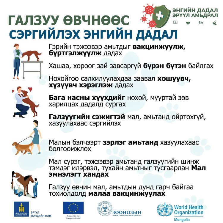ГАЛЗУУ ӨВЧНӨӨС СЭРГИЙЛЭХ ЗӨВЛӨМЖ